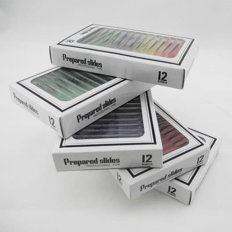 Set of 48 colour-coded plastic microscope slides for children, showing plant, insect, and animal specimens.