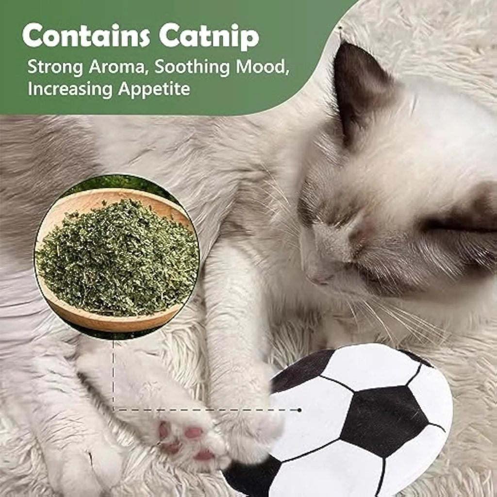 Soft plush cat flying disc toy with sports ball pattern, containing catnip and crinkle sound.