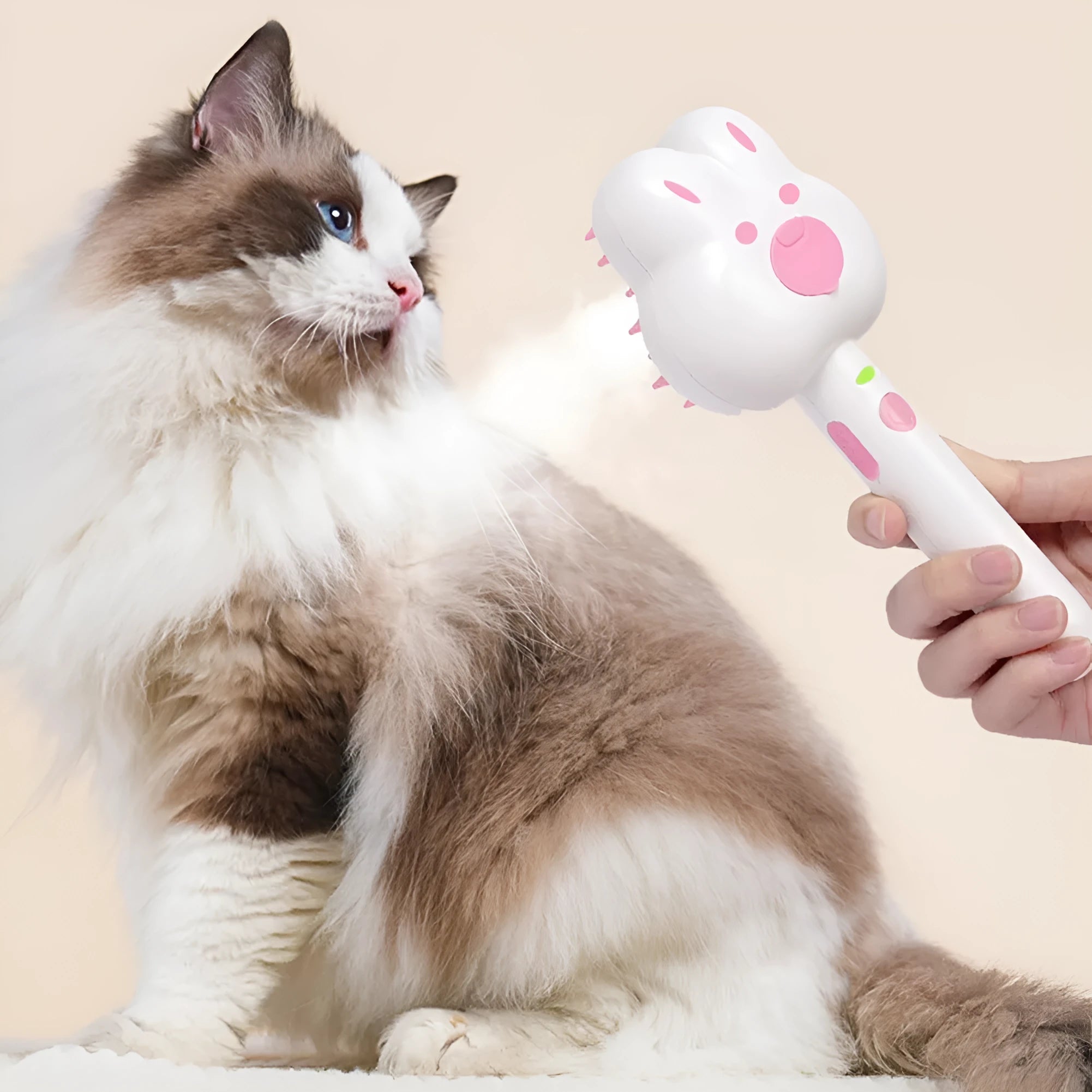 Rechargeable cat steam brush grooming tool in cartoon design with spray function