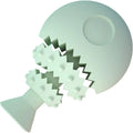 Blue, green, and pink rubber fish bone shaped dog chew toy with hollow centre for treats.