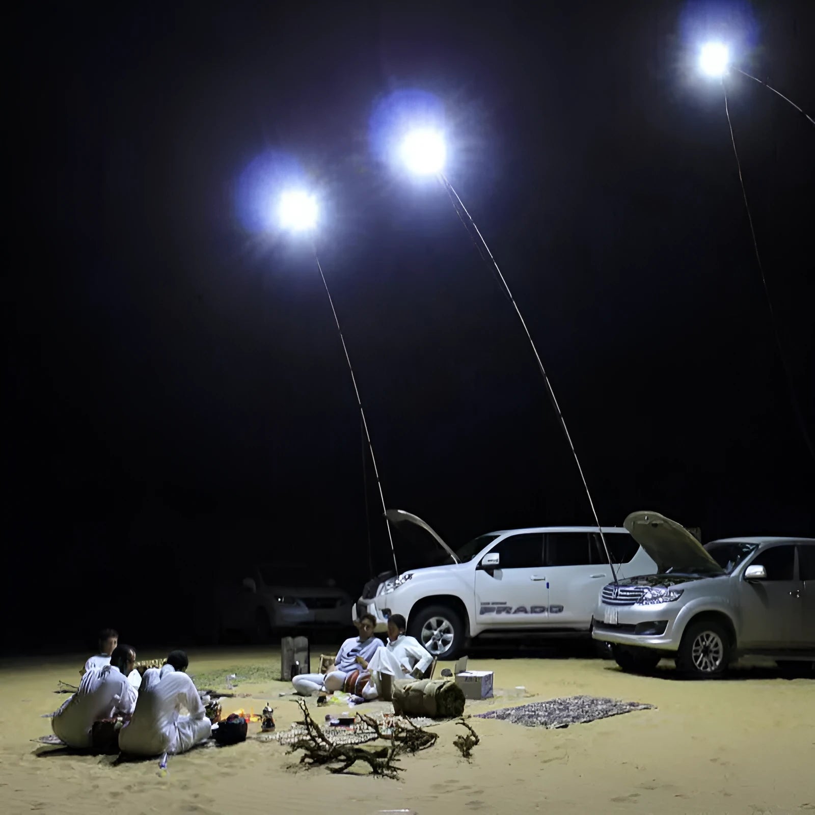 LED fishing rod light with remote controller on 5 metre telescopic pole for outdoor lighting