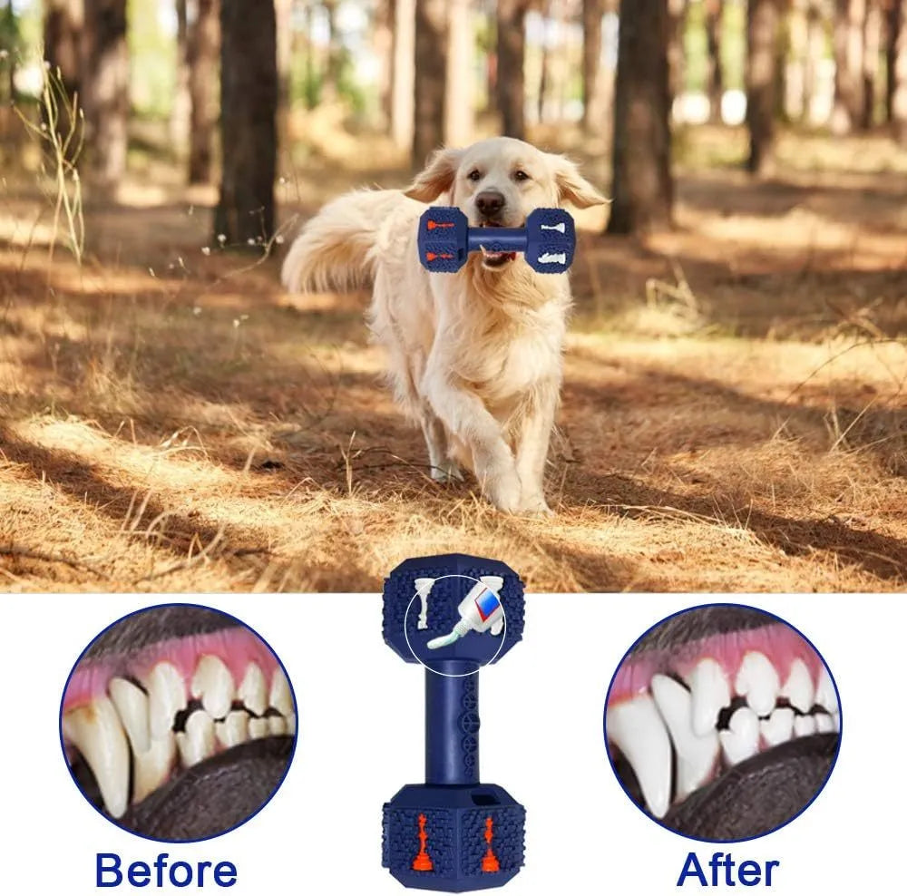 Natural rubber dog chew toy in dumbbell shape with hollow ends and textured surface