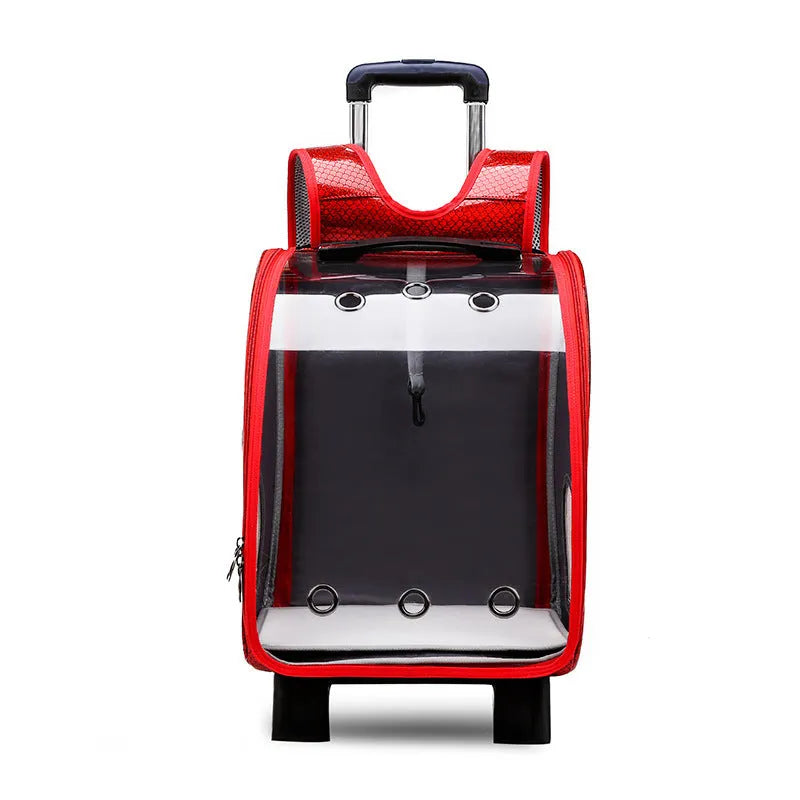 Transparent pet trolley bag with folding shoulder strap in blue colour