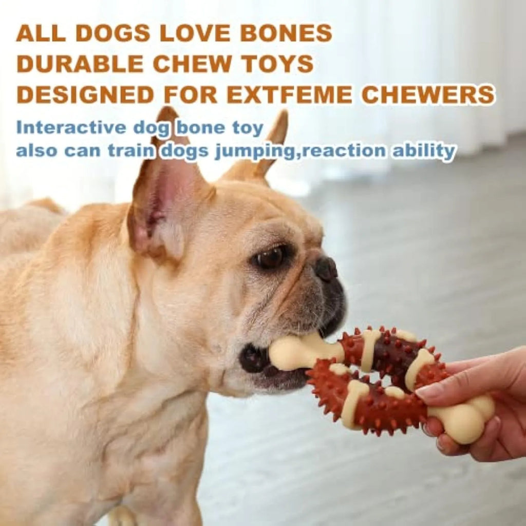 Natural rubber bone-shaped dog teeth grinding chew toy shown in large and small sizes.