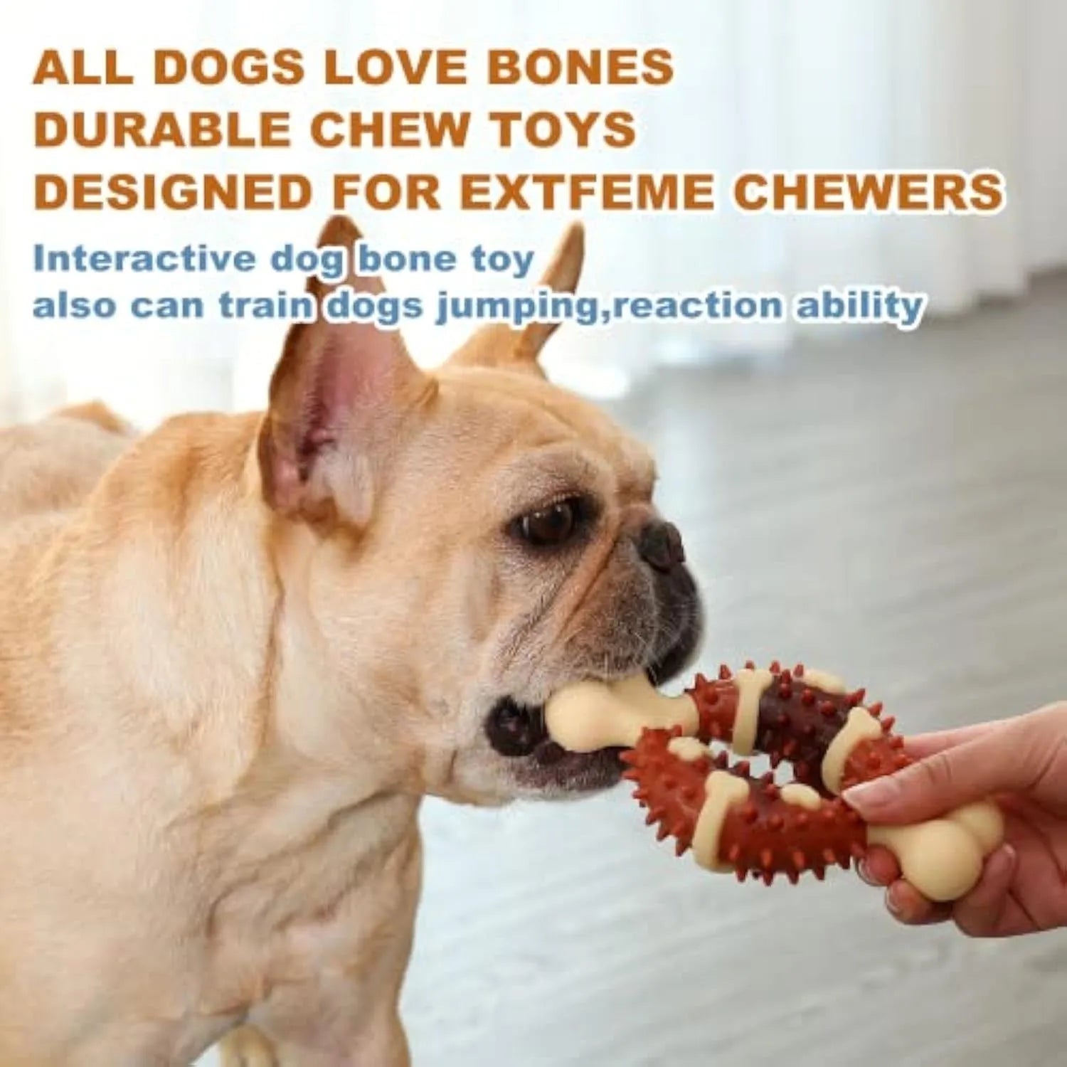 Natural rubber bone-shaped dog teeth grinding chew toy shown in large and small sizes.