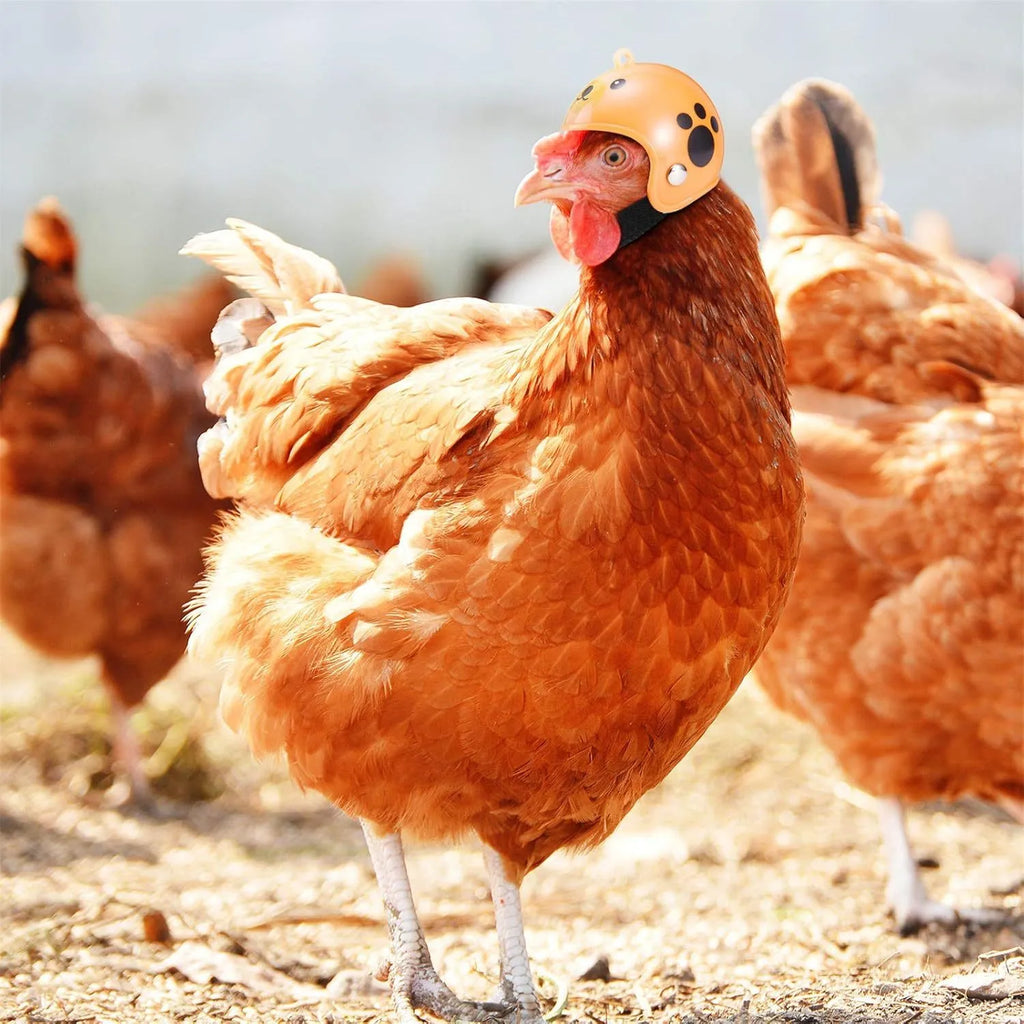 Adjustable chicken safety helmet with sponge lining for small poultry and birds