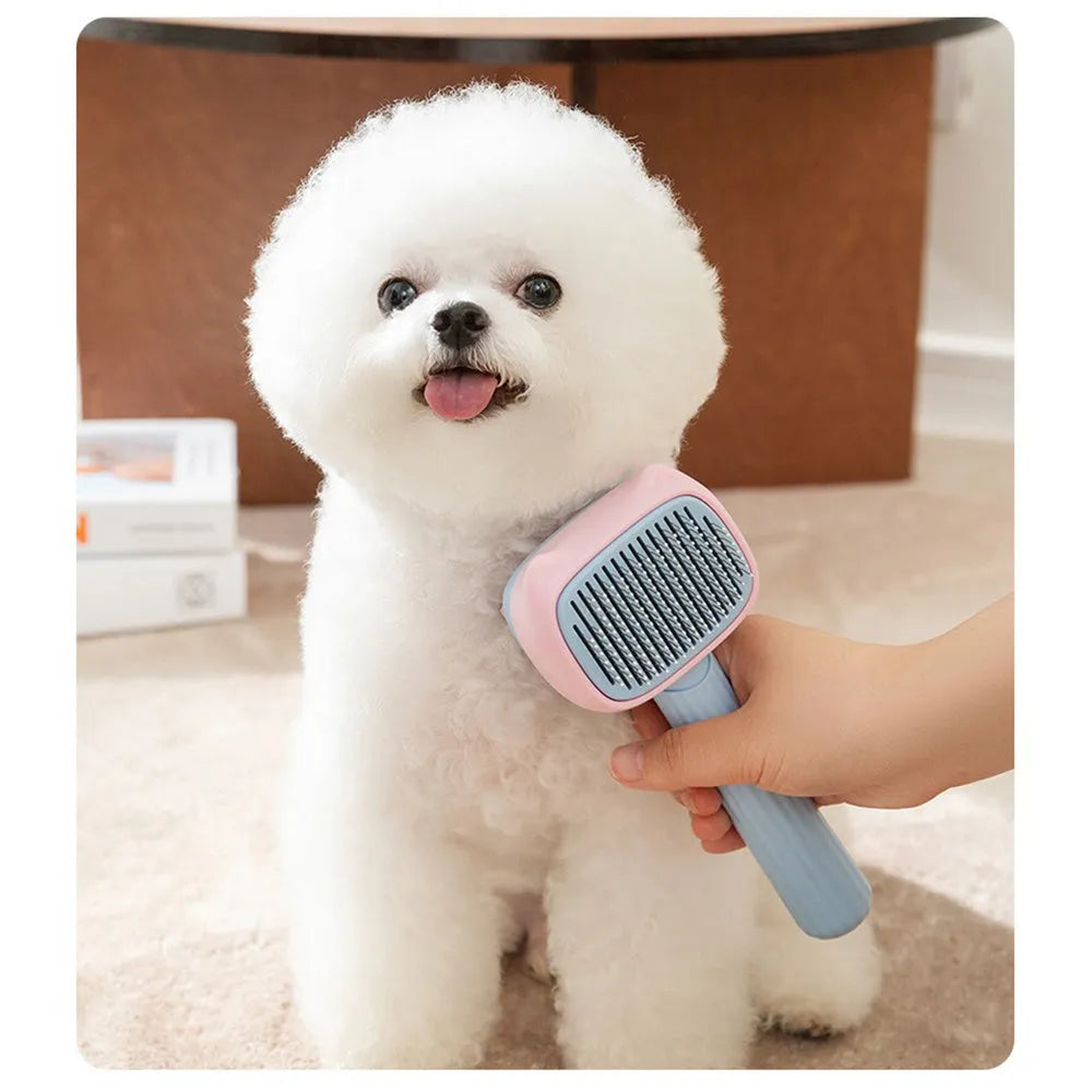 Blue double-sided pet grooming brush showing deshedding rake and dematting comb