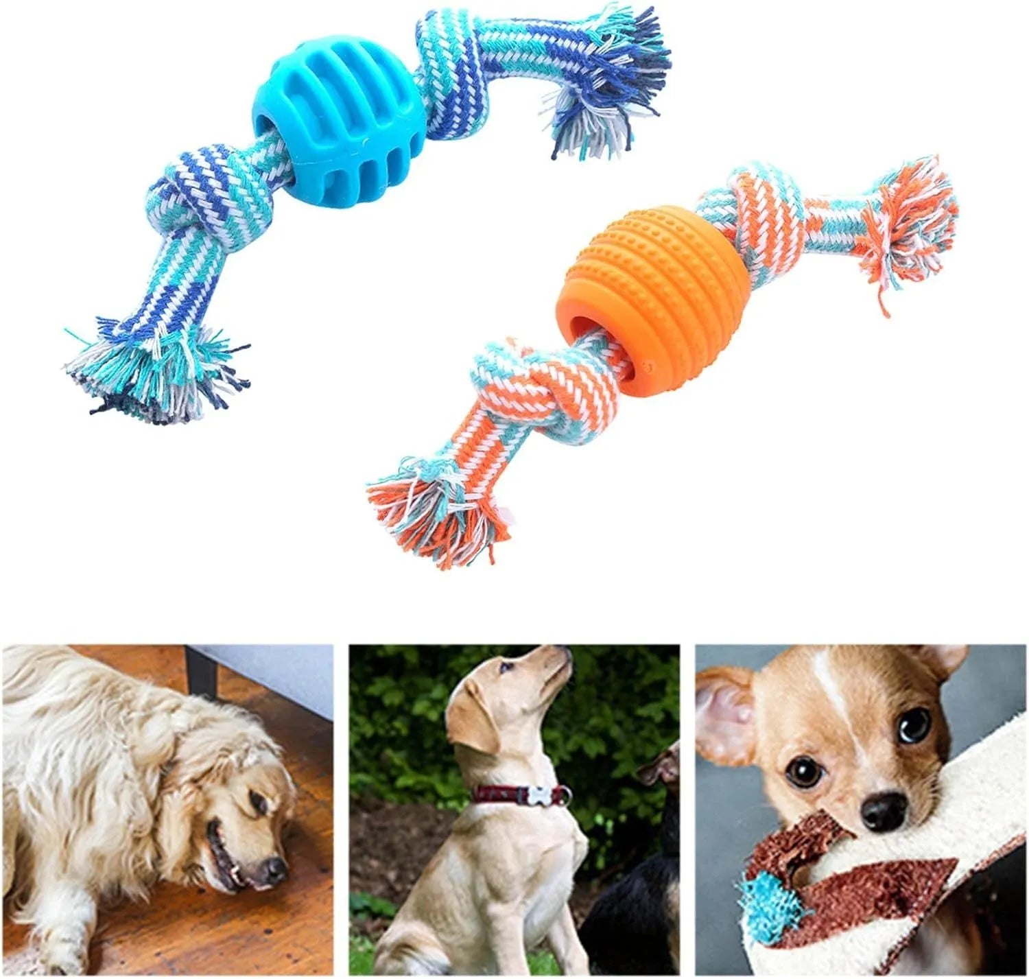Blue dog chew toy with molar-shaped rubber section and dental cleaning rope strands