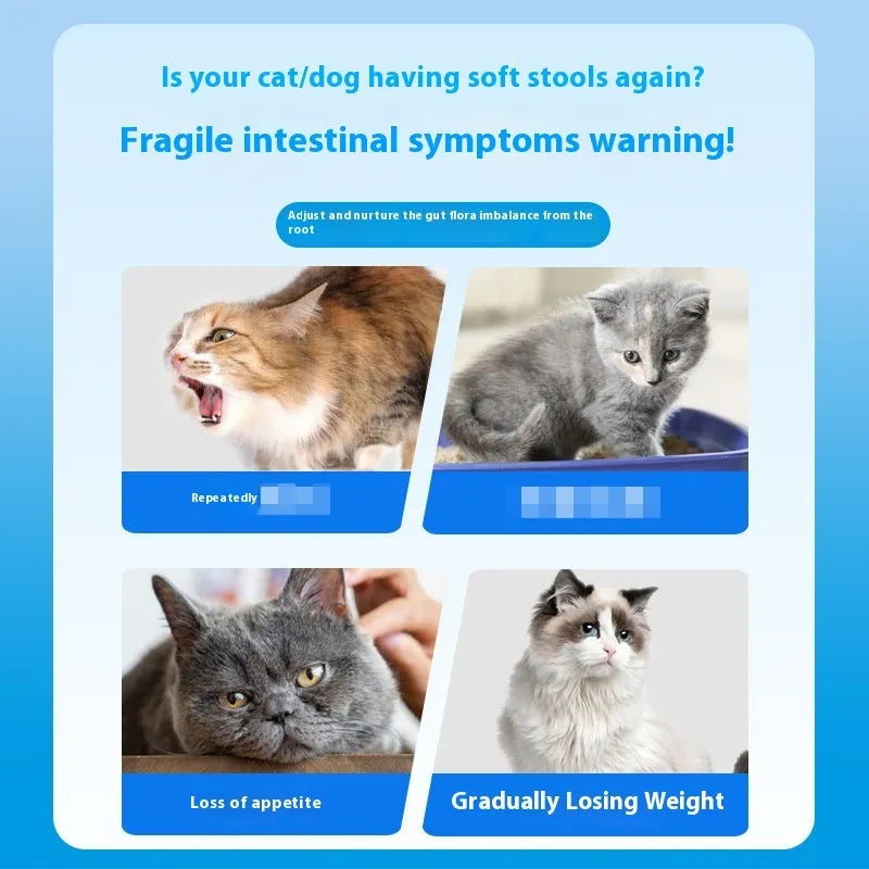 Bottle of pet probiotic tablets containing 180 tablets for dogs and cats digestive health