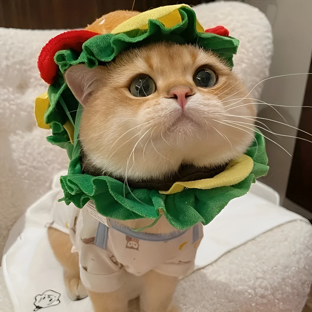 Soft fabric burger-shaped headdress collar for a cat, with adjustable neck straps.