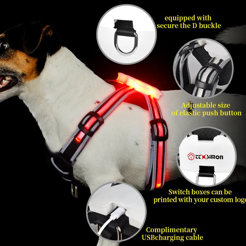 Nylon luminous dog charging leash with seven-colour LED pattern and explosion-proof hand holding rope
