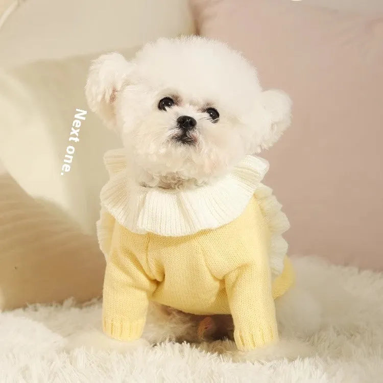 Yellow acrylic knit dog sweater jumper on a small dog, showing casual pullover style.