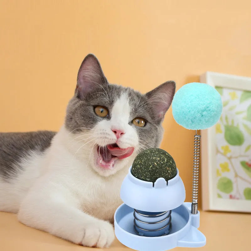 Lucky Cat mint ball toy in blue, orange, or pink colours with textured surface for teeth grinding.