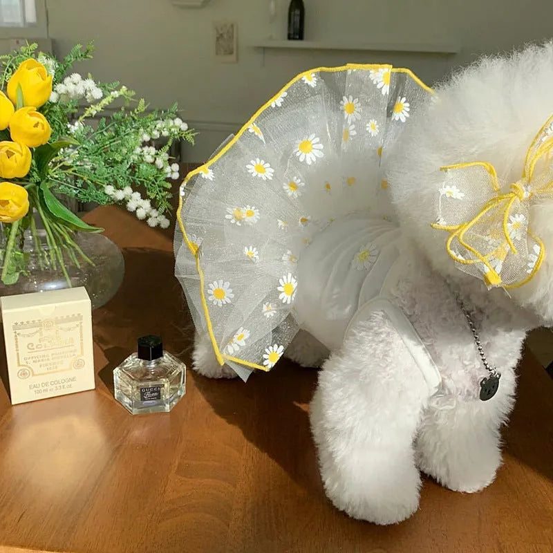 Yellow little daisy print dog clothes with full body coverage including all four legs