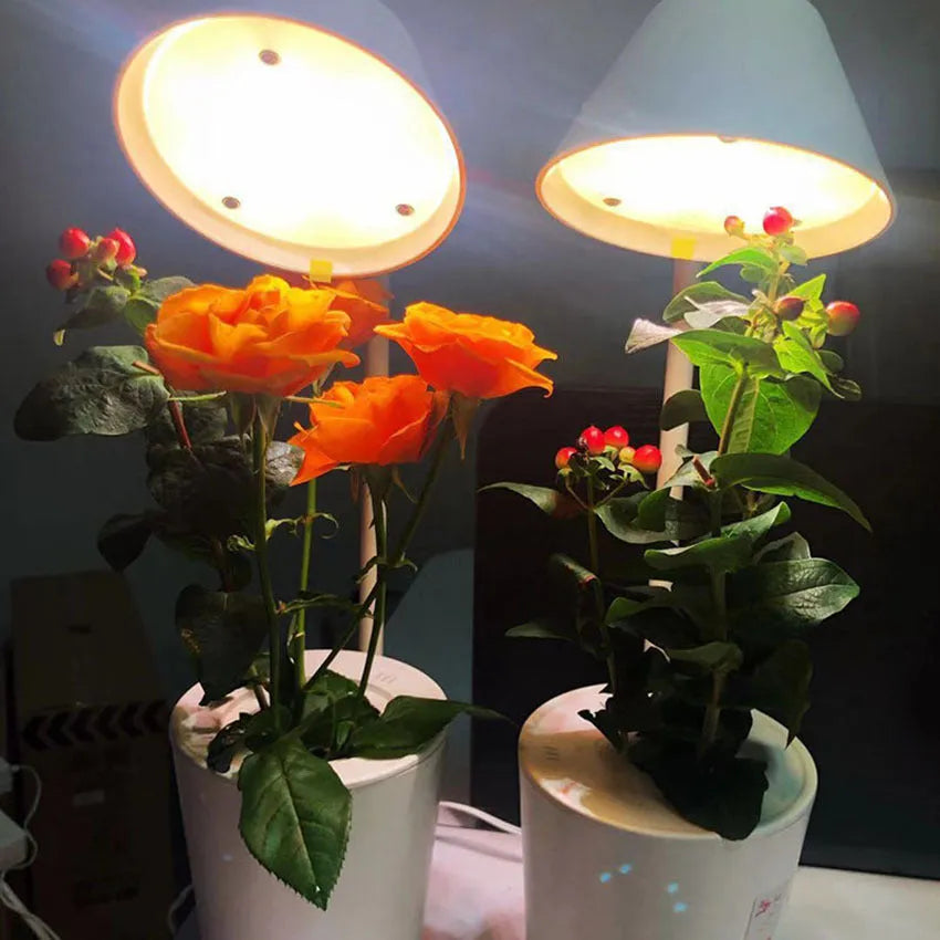 White plastic hydroponic container for desktop plant growth with international size compliance labels
