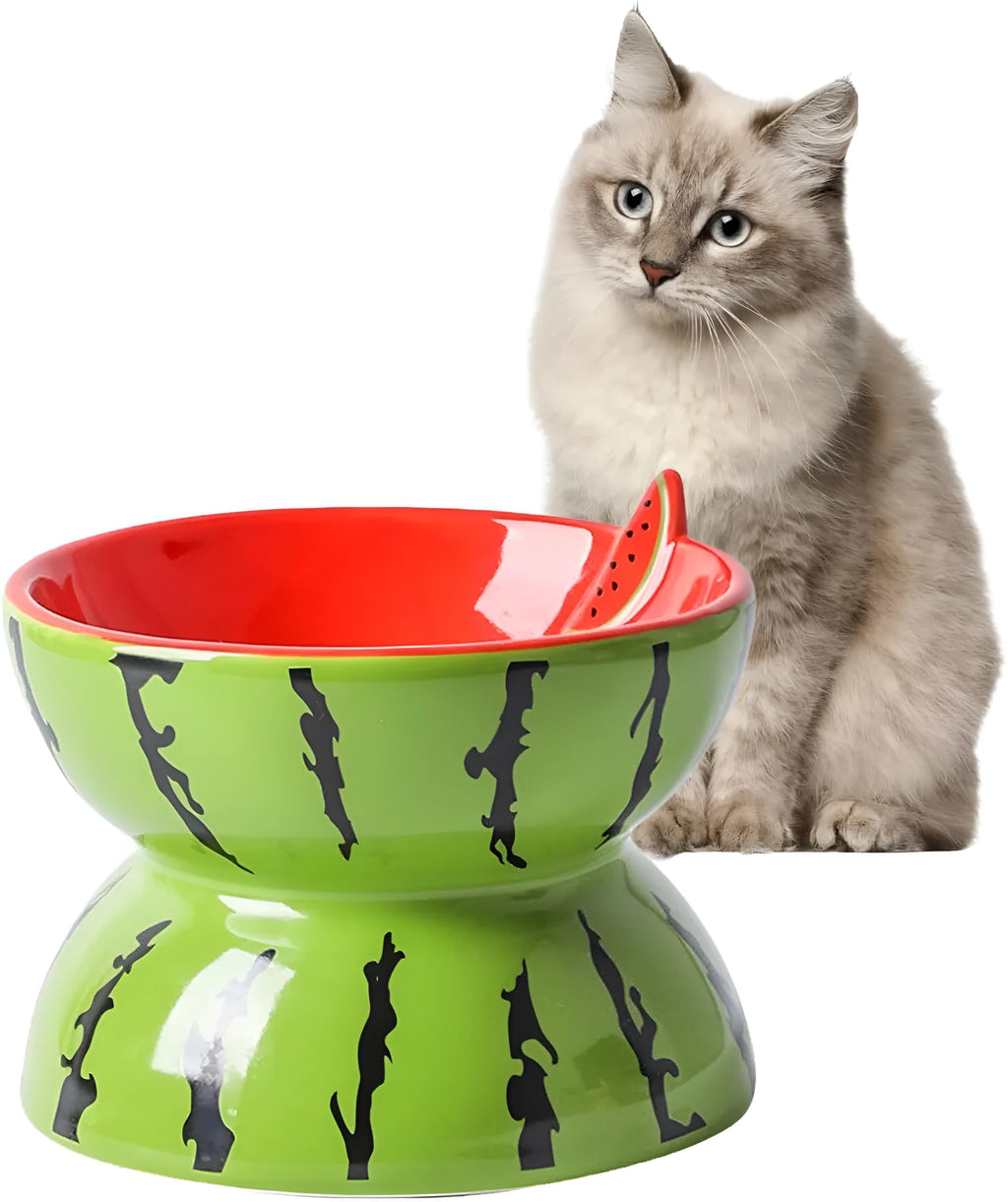 Ceramic elevated cat bowl in orange colour with tilted wide dish design.