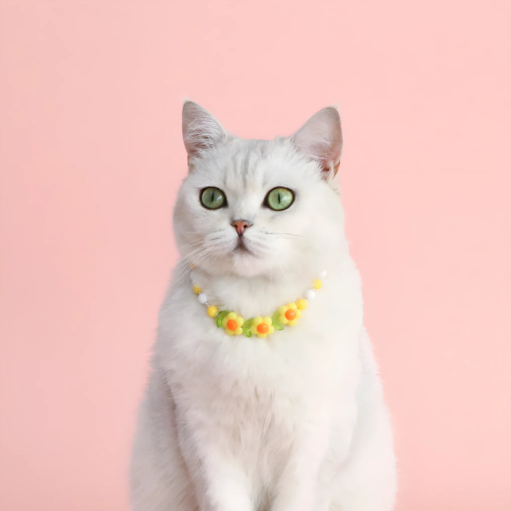 Colourful plastic pearl necklace for small dogs and cats with adjustable sizing
