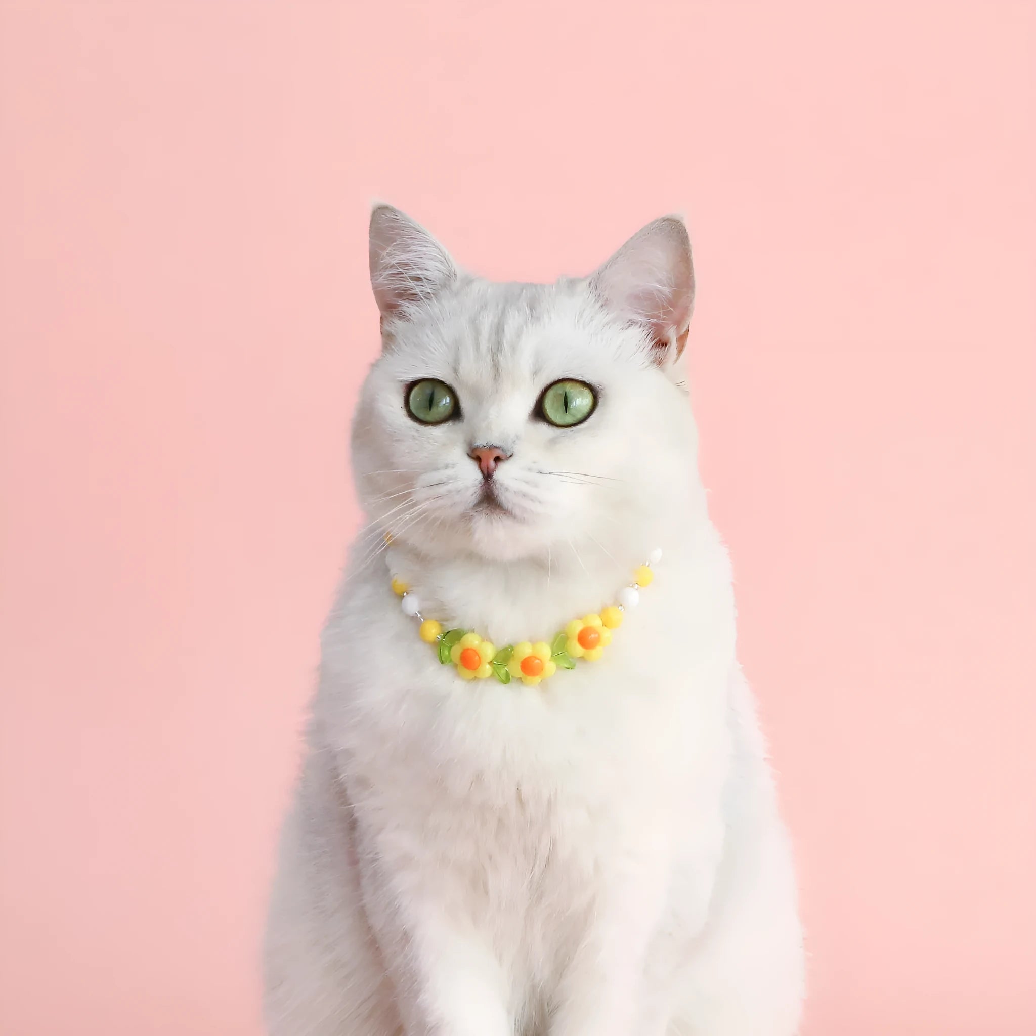Colourful plastic pearl necklace for small dogs and cats with adjustable sizing