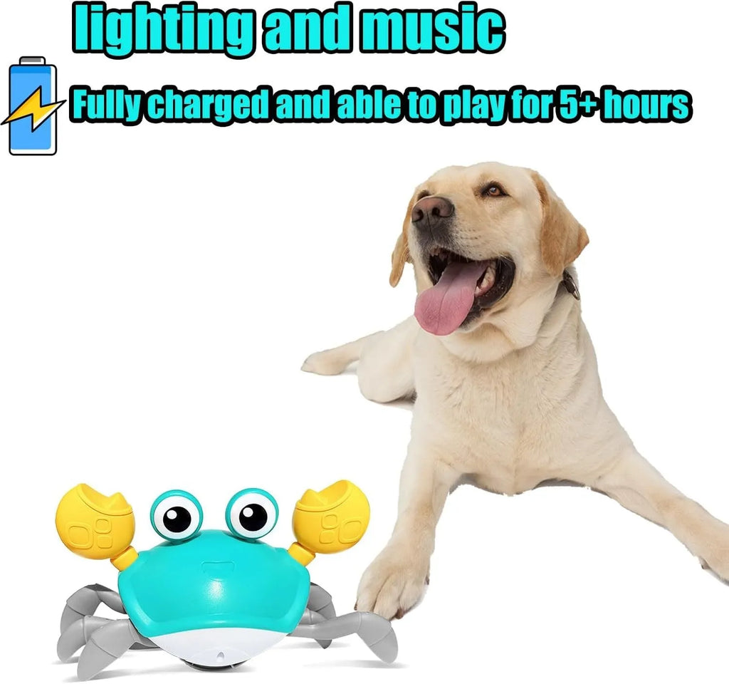 Blue crawling crab dog toy with obstacle avoidance sensors and LED lights on hardwood floor
