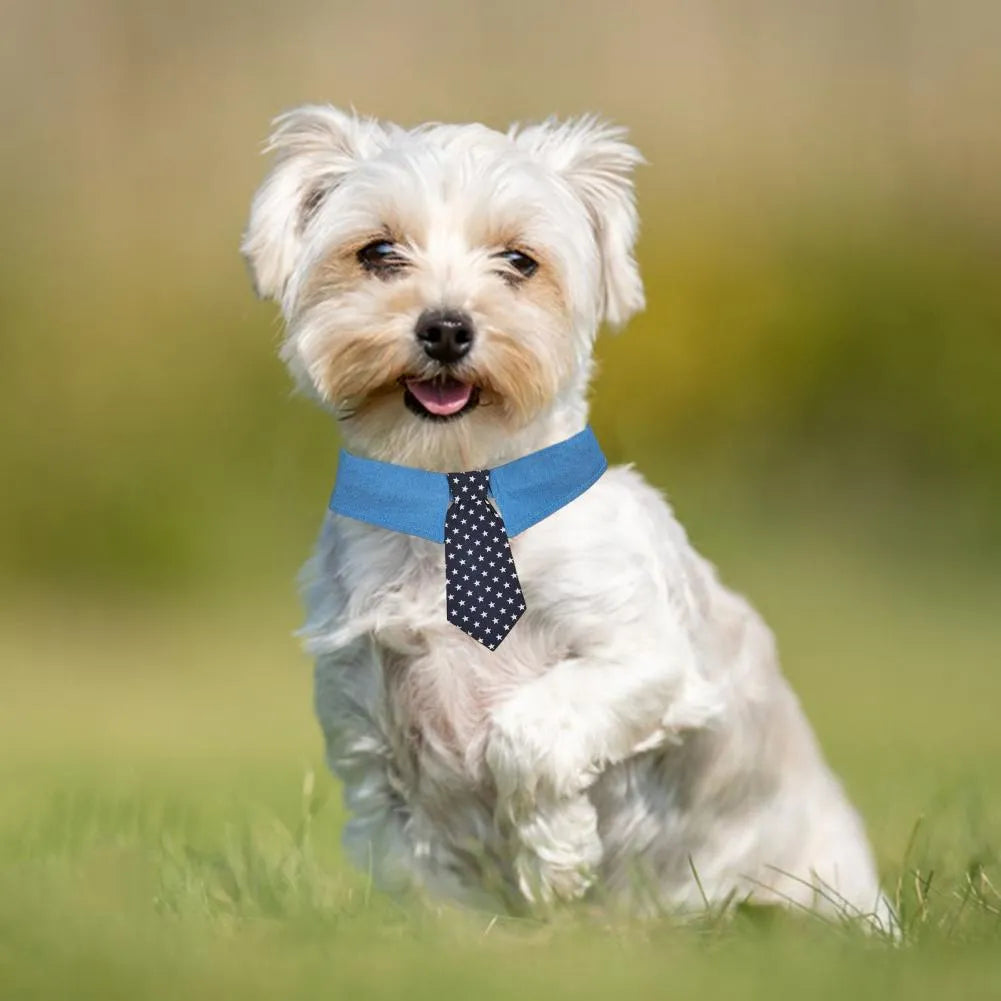 Denim dog collar with star pattern necktie adjustable for formal pet events
