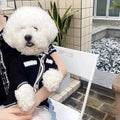 Korean style white pearl collar dog sweater on small dog showing princess design