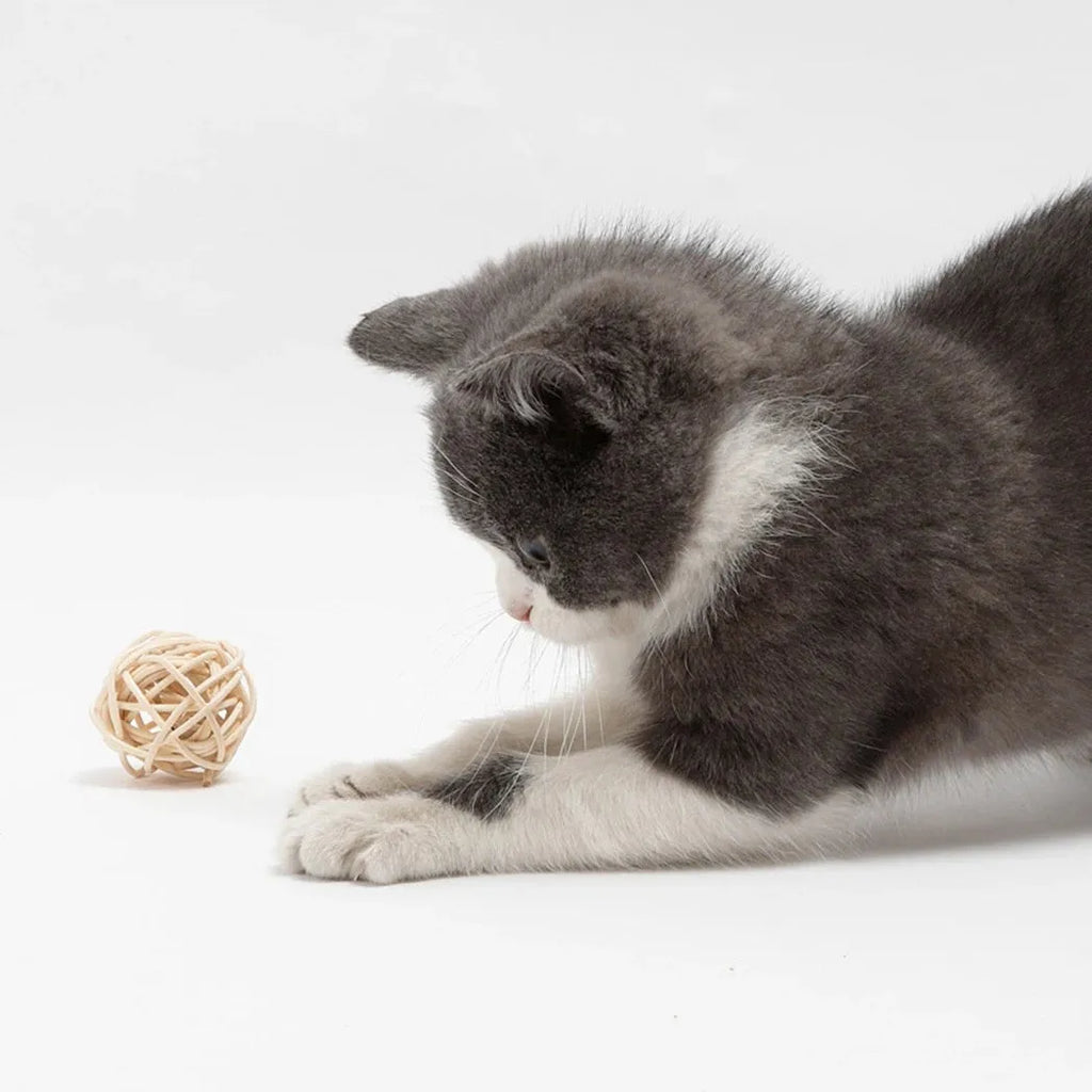 Two cat toys: hollow rattan ball and faux feather ball with measurements shown