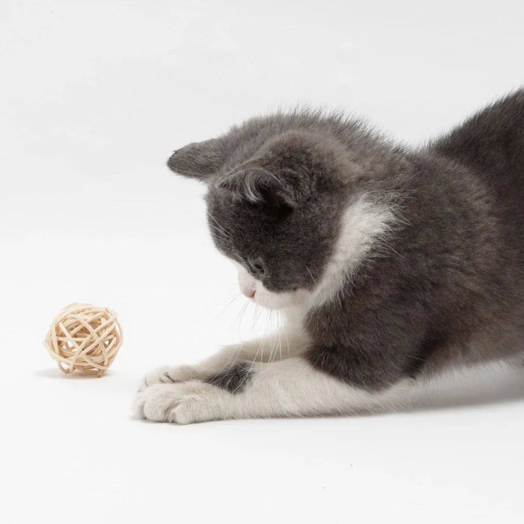 Two cat toys: hollow rattan ball and faux feather ball with measurements shown