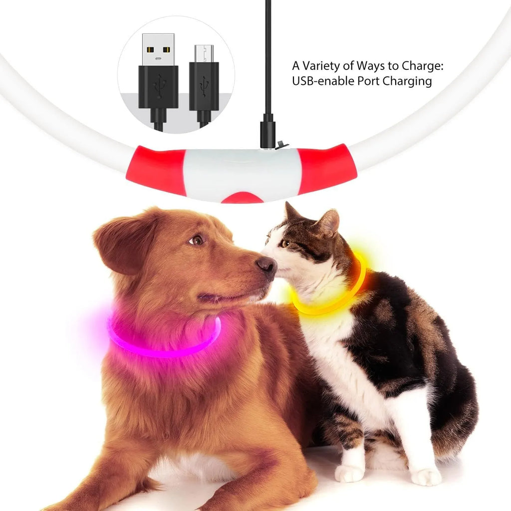 Blue USB rechargeable LED dog collar with glowing light on adjustable TPU strap