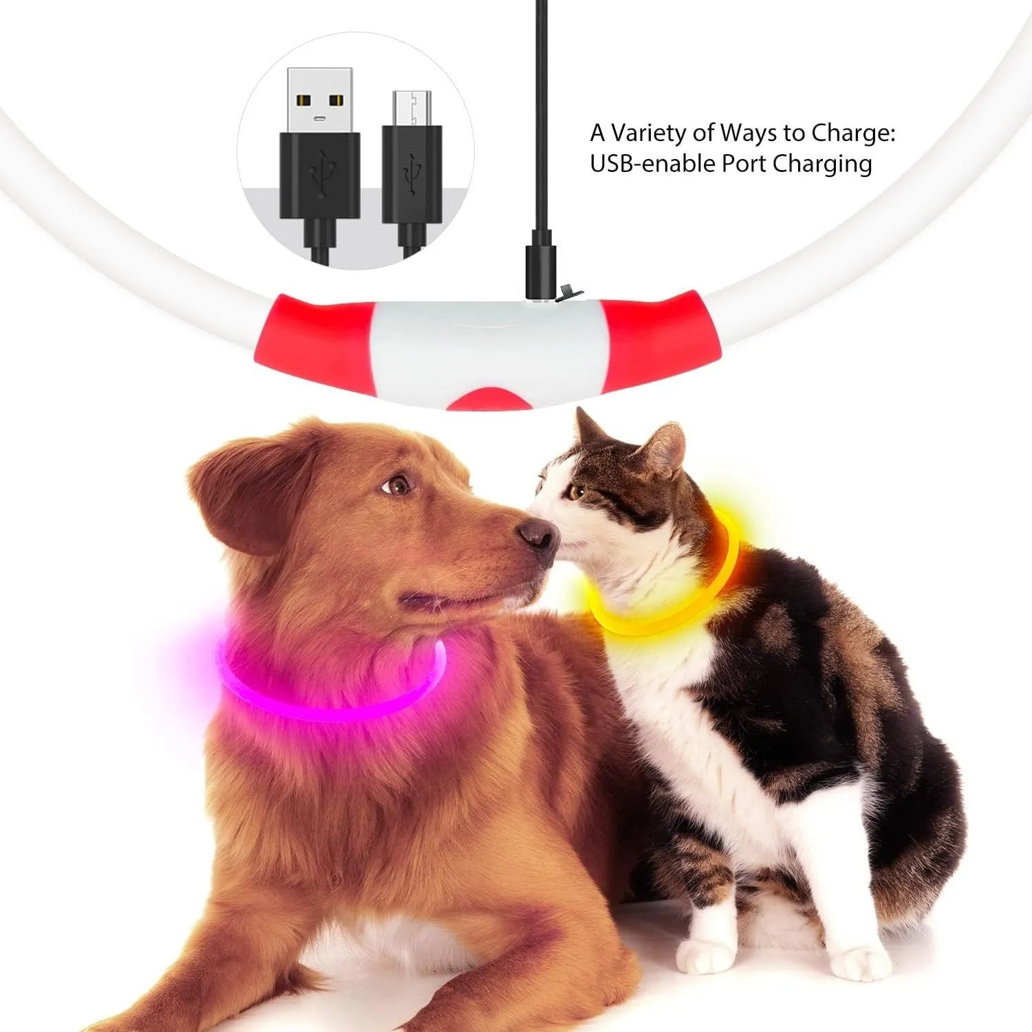 Blue USB rechargeable LED dog collar with glowing light on adjustable TPU strap