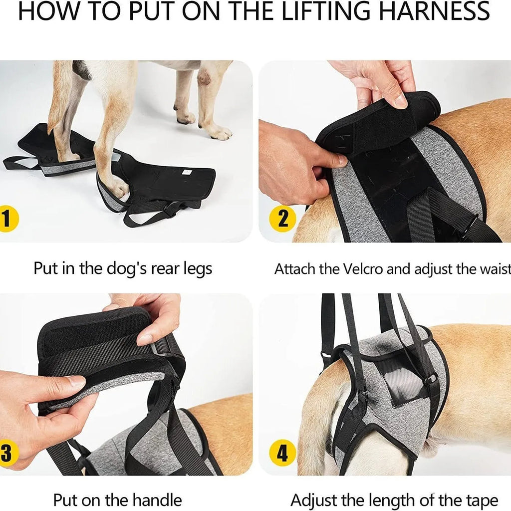 Grey neoprene recovery belt for dog rear leg support showing adjustable sizing