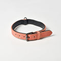 Matte leather anti-lost dog collar in black, available in seven colours and five sizes XS to XL.