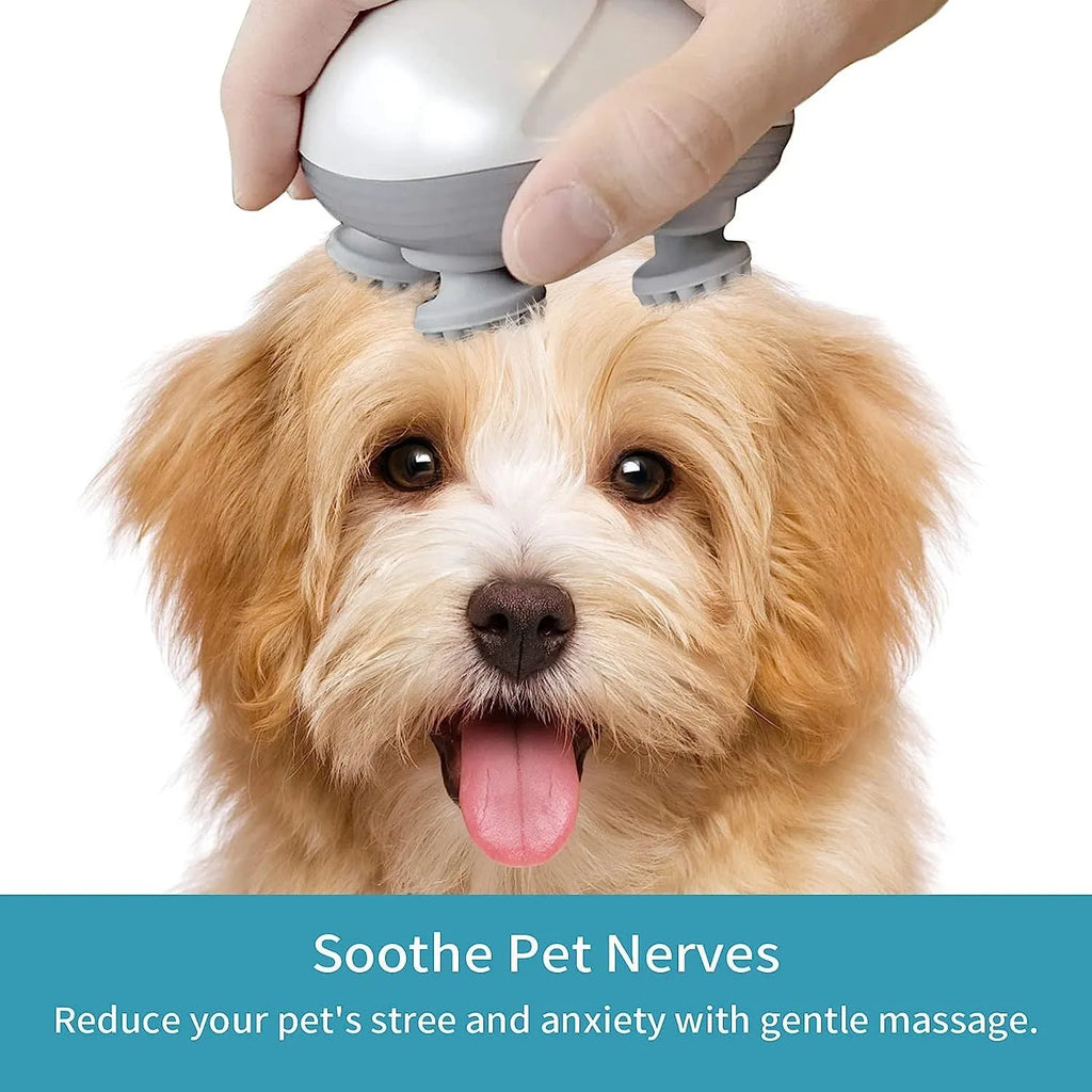 Blue electric pet massager with four rotating heads for cat and dog muscle relief