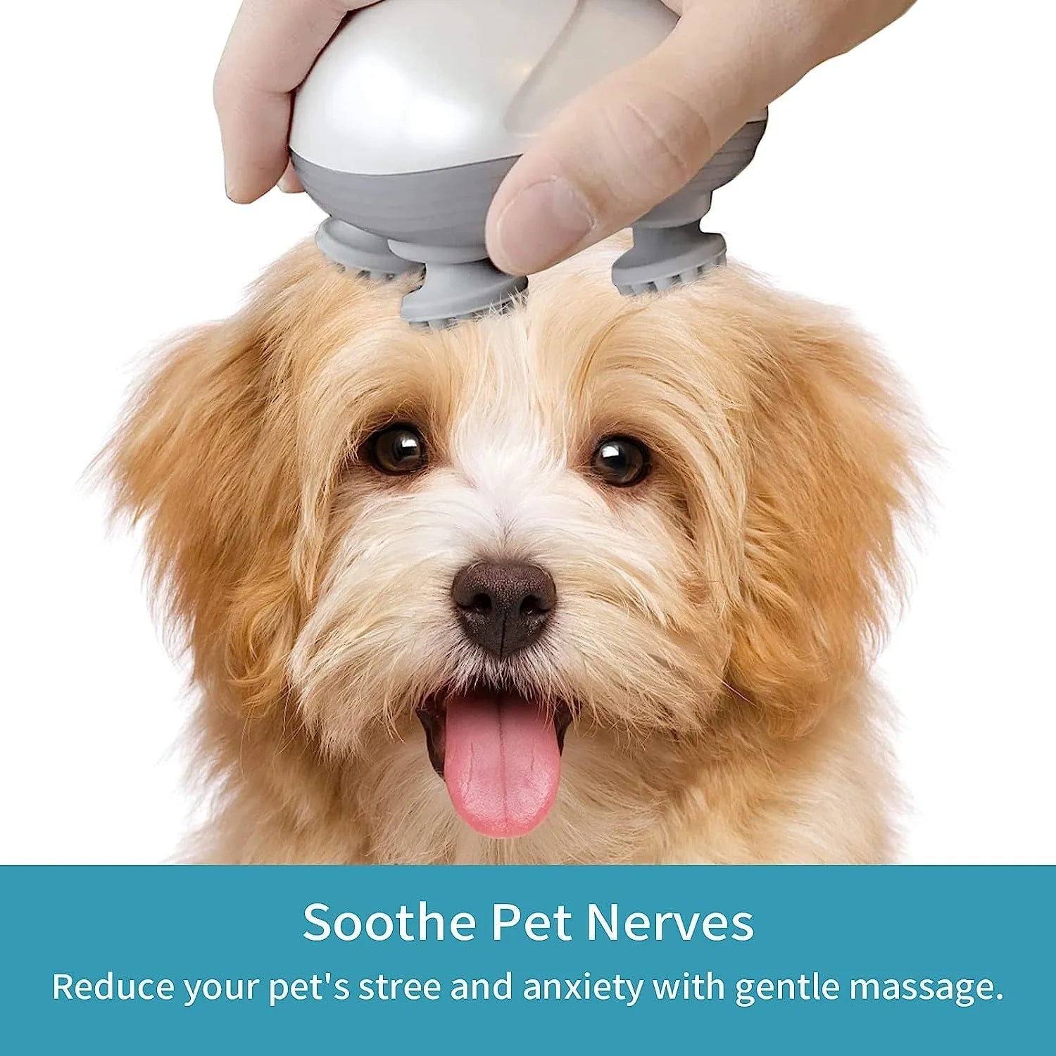 Blue electric pet massager with four rotating heads for cat and dog muscle relief