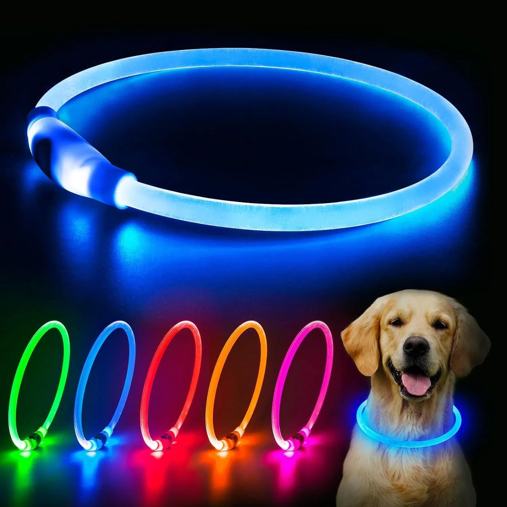 Blue USB rechargeable LED dog collar with glowing light on adjustable TPU strap