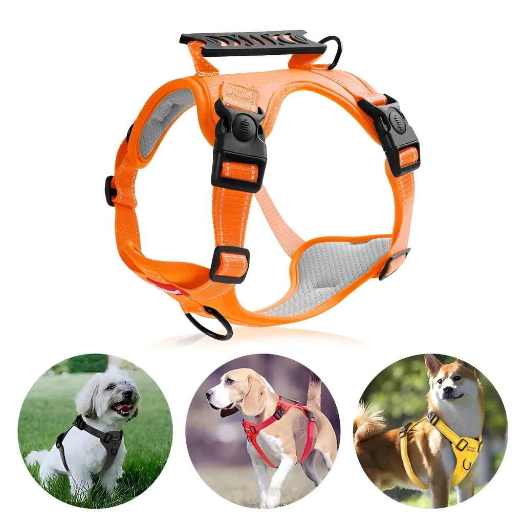 Adjustable polyester dog chest harness and lead in various colours on a white background