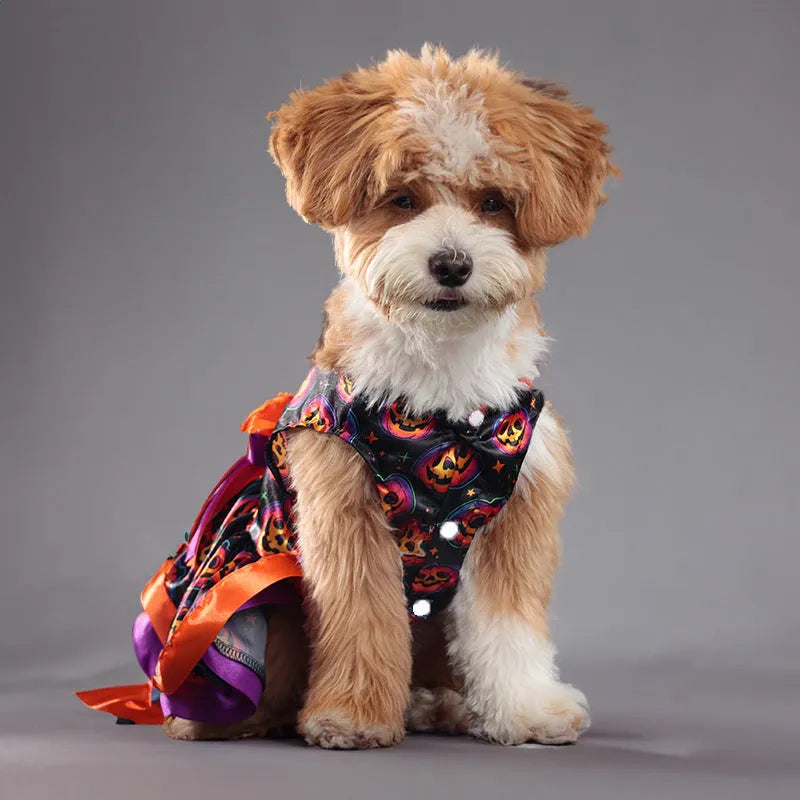 Colourful double-layer Halloween skirt for dogs in pumpkin and skull patterns