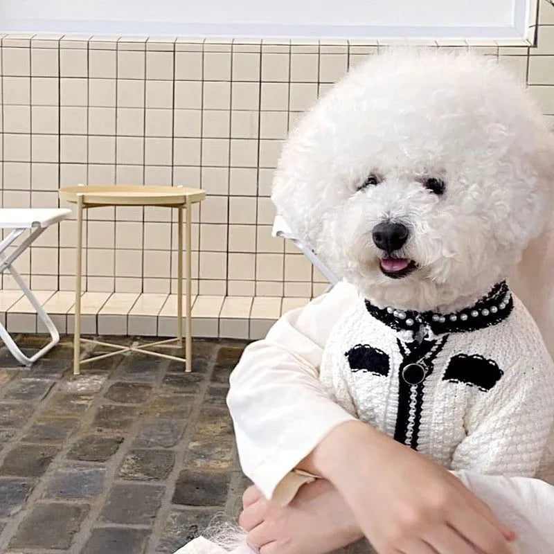 Korean style white pearl collar dog sweater on small dog showing princess design