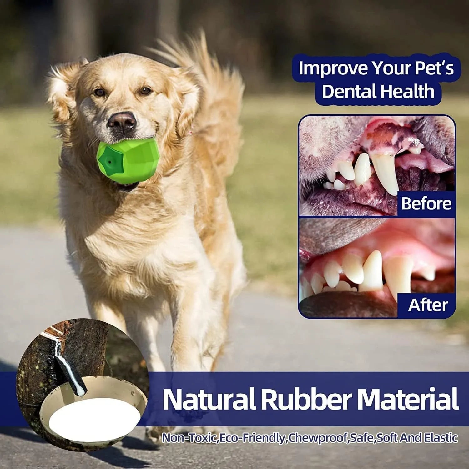 Green natural rubber dog ball with squeaker for large breed aggressive chewers