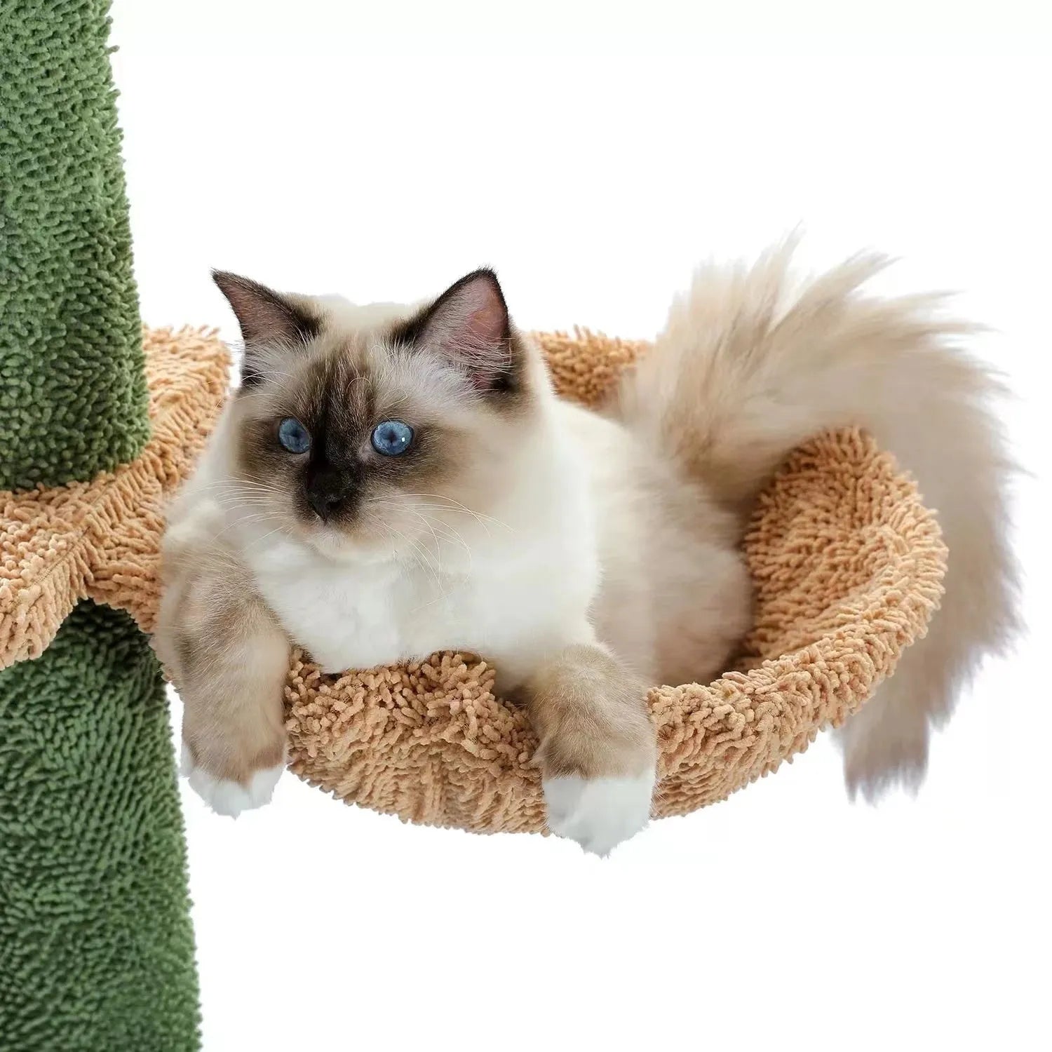 Solid wood cat climbing frame with integrated scratch board and cactus cat nest, dimensions 40x25x240cm