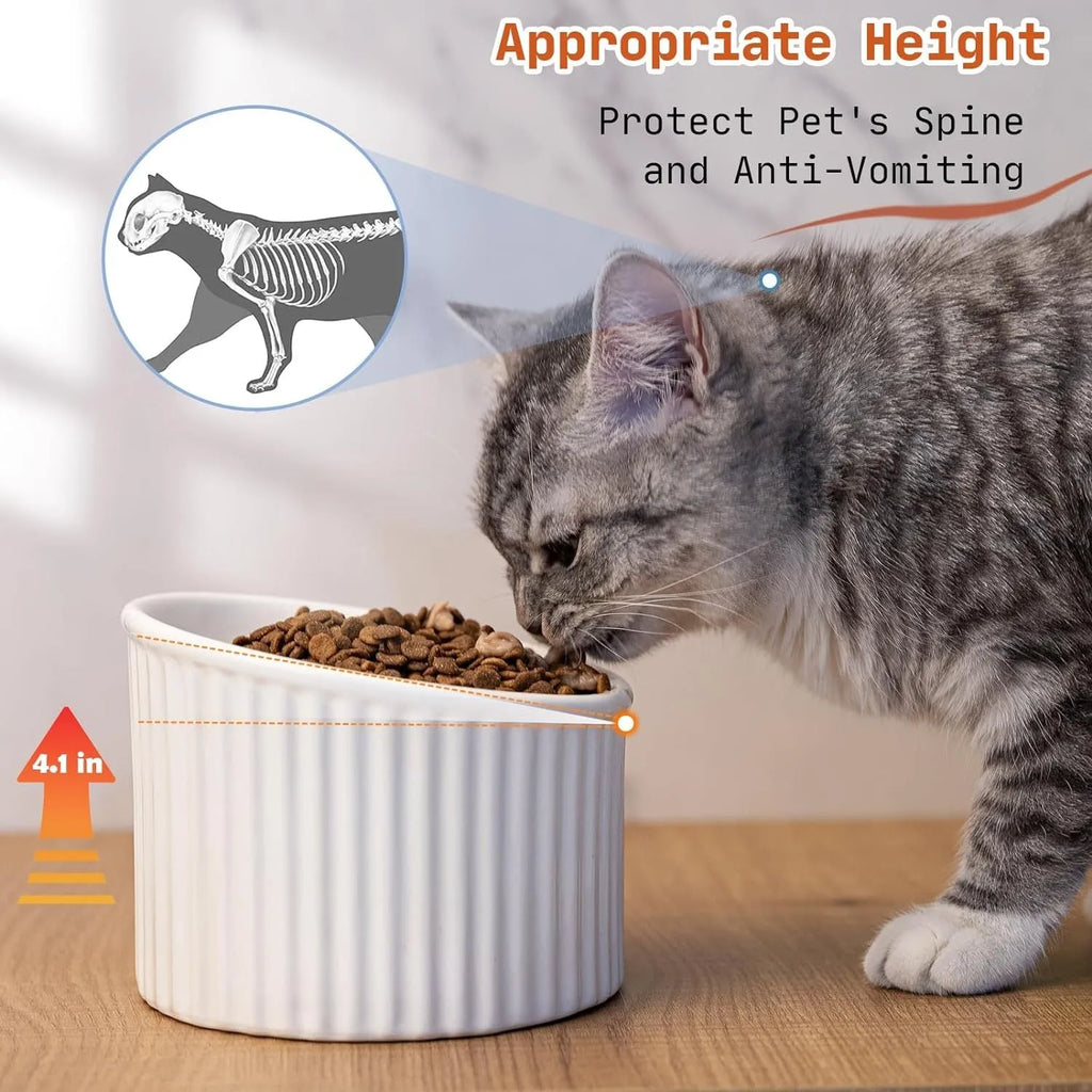 Elevated ceramic cat bowl in green colour showing raised, tilted design for food or water.