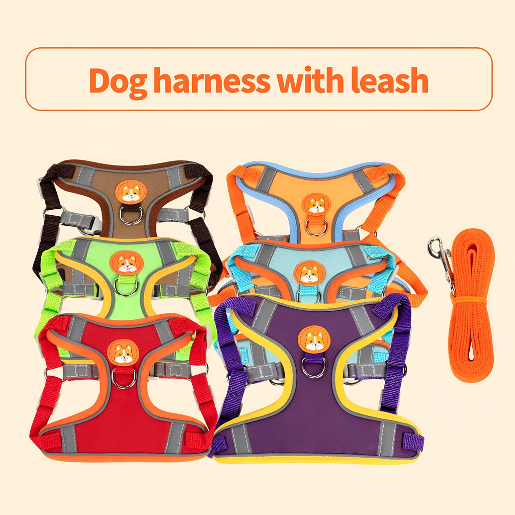 Adjustable dog harness and haulage rope set in purple, blue, orange, red, brown, or green with chest strap.