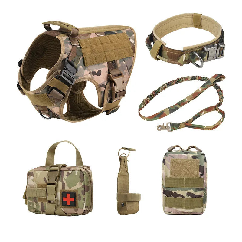 Dog wearing combat vest training gear with chain ring and rope components
