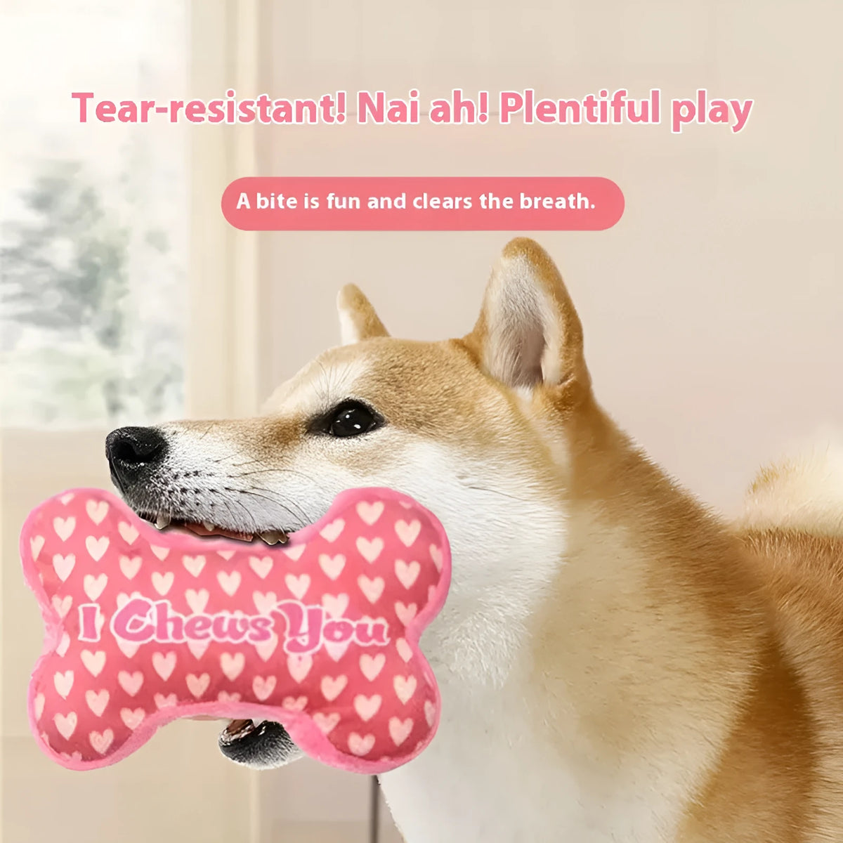 PP plastic pet plush molar toy in peach heart red colour with textured surface for dental cleaning