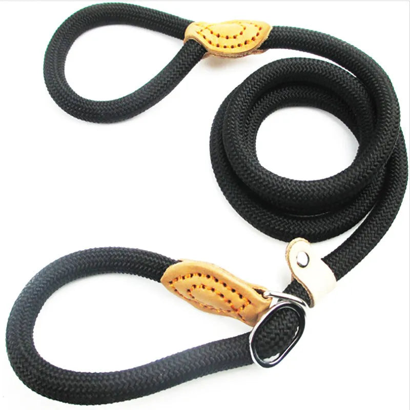 Brown nylon dog leash with 2.1 metre length and dual-thickness rope design