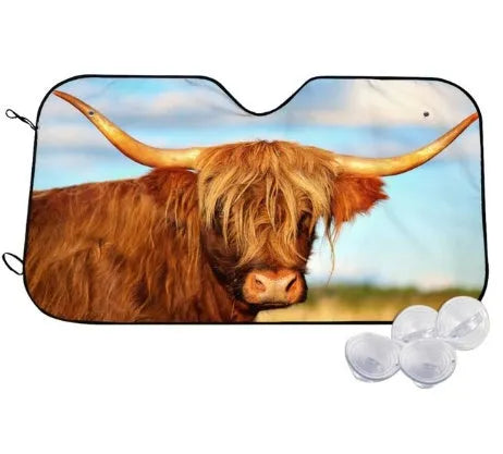 Telescopic aluminium foil car sun visor extended on a car windshield