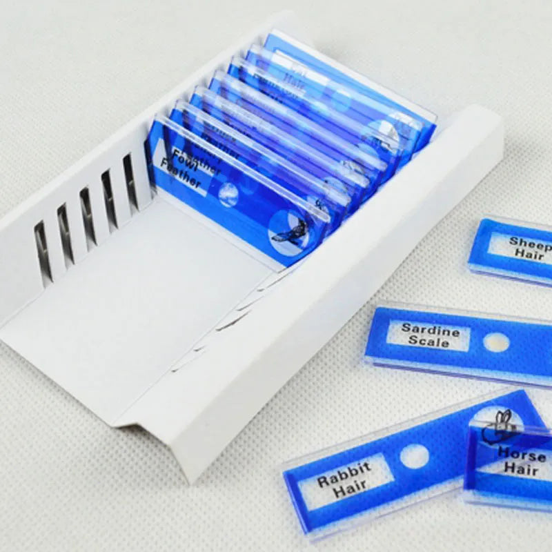 Set of 48 colour-coded plastic microscope slides for children, showing plant, insect, and animal specimens.