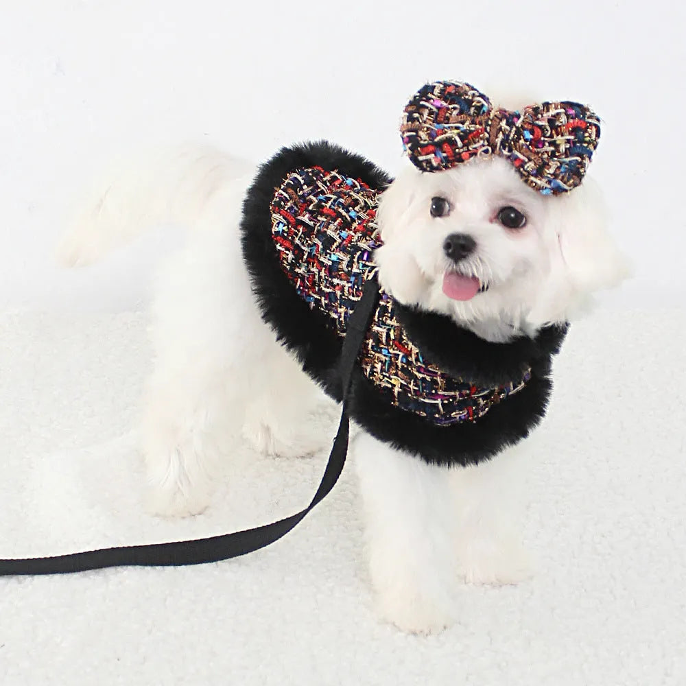 A dog wearing a classic cloth cloak attached to a chest harness, with an integrated hand-holding rope lead.