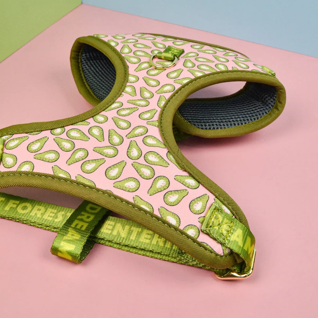Colourful polyester dog harness and lead set for medium and large breeds on a white background.