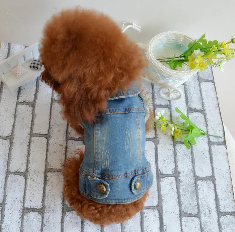 Denim dog vest with retro scratch pattern in dark colour on small breed dog