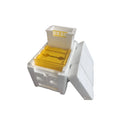Three white EPS foam mini delivery boxes for beehive queen rearing.